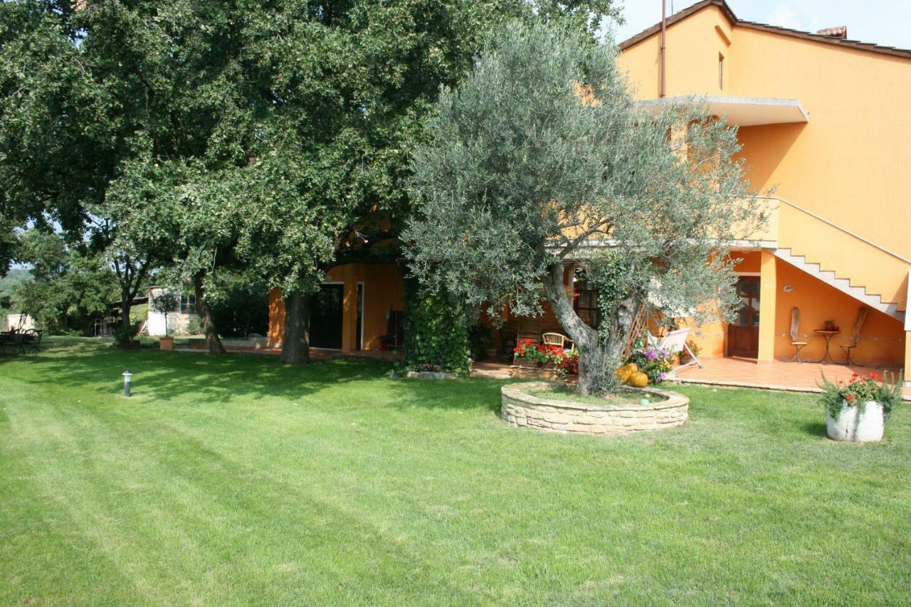 Sossa Apartments Umag Exterior photo
